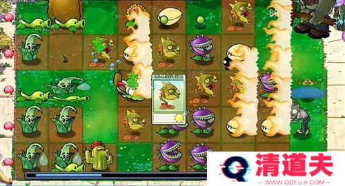 植物大战僵尸世界乱炖