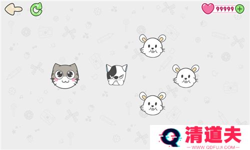 猫抓小老鼠