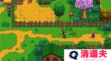 星露谷物语枫姨美化版