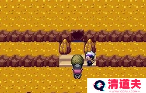 口袋妖怪漆黑的魅影5.0