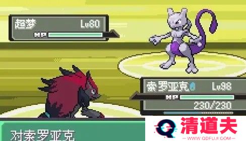 口袋妖怪漆黑的魅影5.0