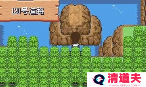 口袋妖怪漆黑的魅影5.0