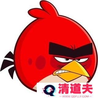 愤怒的小鸟朋友版