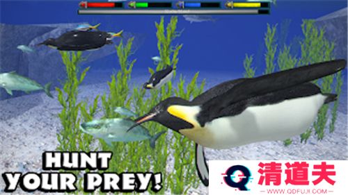 终极北极熊模拟器2