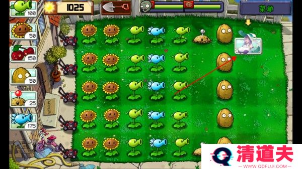 植物娘大战僵尸庄不纯下载最新版本游戏攻略4