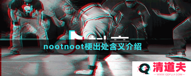 nootnoot梗出处含义介绍