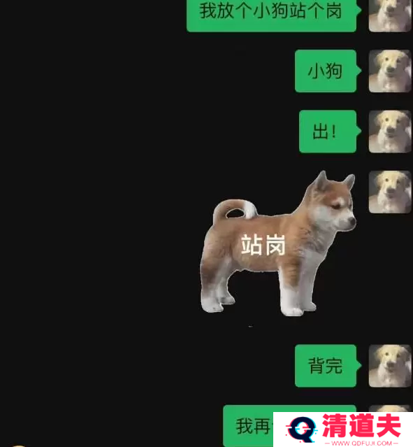 站岗小狗梗出处含义介绍