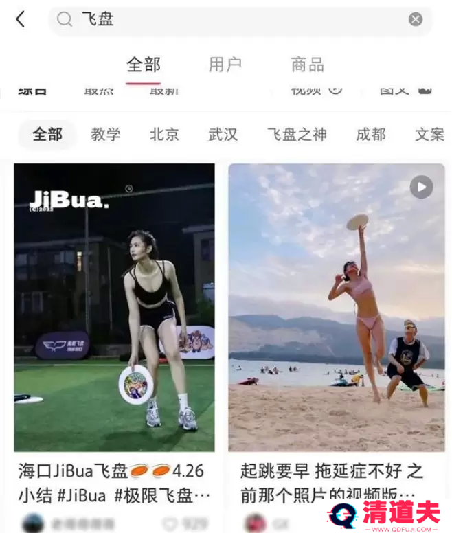 飞盘媛梗出处含义介绍