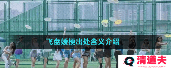 飞盘媛梗出处含义介绍