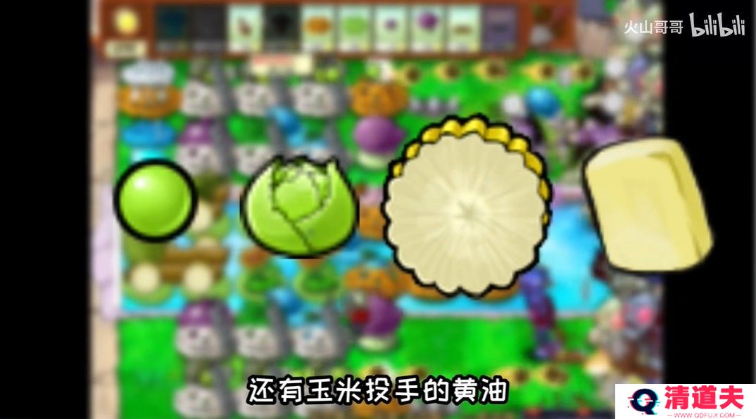 沙威玛植物大战僵尸版