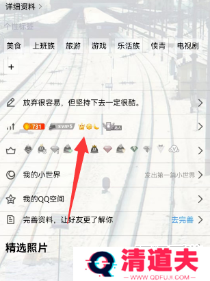 qq等级全球排行查询