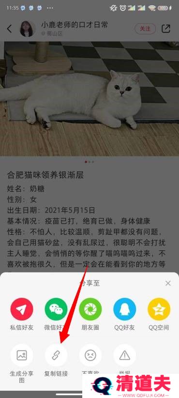 小红书图片怎么去水印