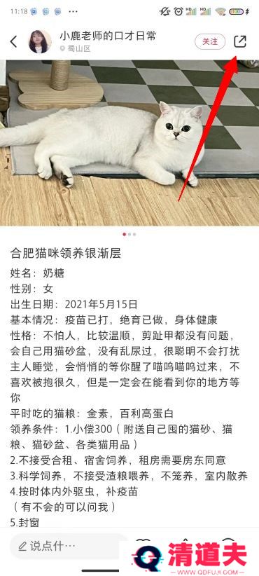 小红书图片怎么去水印