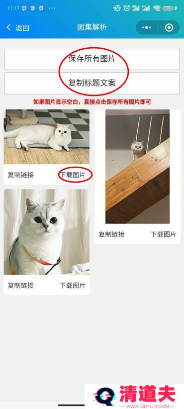 小红书图片怎么去水印