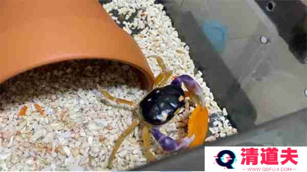 神奇海洋2月15日今日答案2025