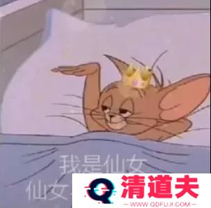 我是仙女仙女不需要爱情表情包