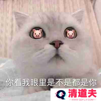 这就是你们男人喜欢的S型身材表情包