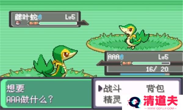 口袋妖怪漆黑的魅影5.0