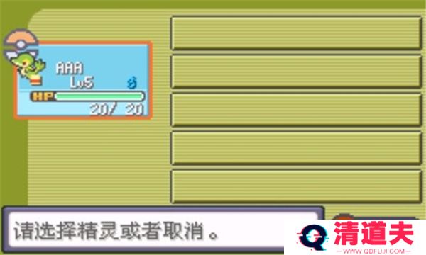 口袋妖怪漆黑的魅影5.0