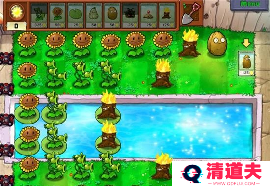 植物大战僵尸融合泳池版