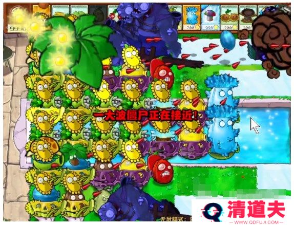 植物大战僵尸融合泳池版