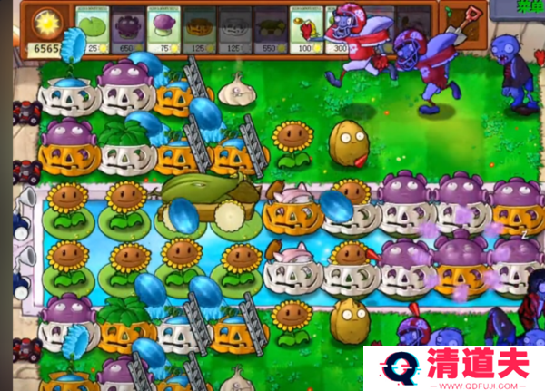 植物大战僵尸融合泳池版