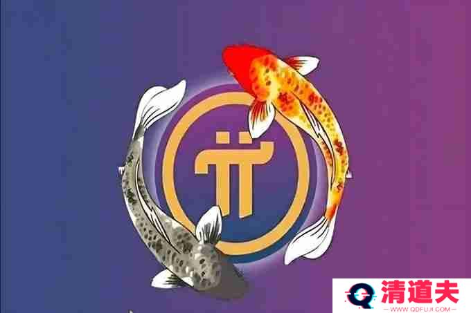 2025年2月17日尼博士网络信息更新，相信柱网后先锋会惊喜不断！