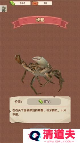 王铲铲的运河梦2024