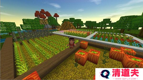 迷你世界全皮肤版