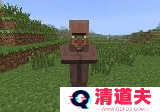 我的世界烦人的村民6.0