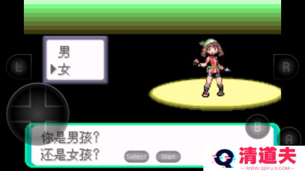 口袋妖怪究极绿宝石5.5版本