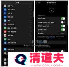 苹果手机怎么取消下载按两下旁边的按键