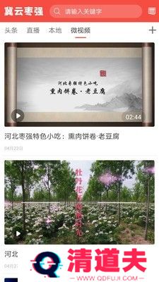 冀云枣强最新版