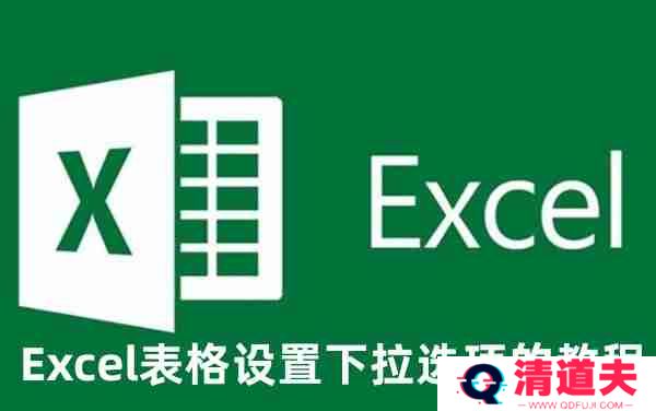 Excel表格下拉选项怎么设置 Excel表格设置下拉选项的教程