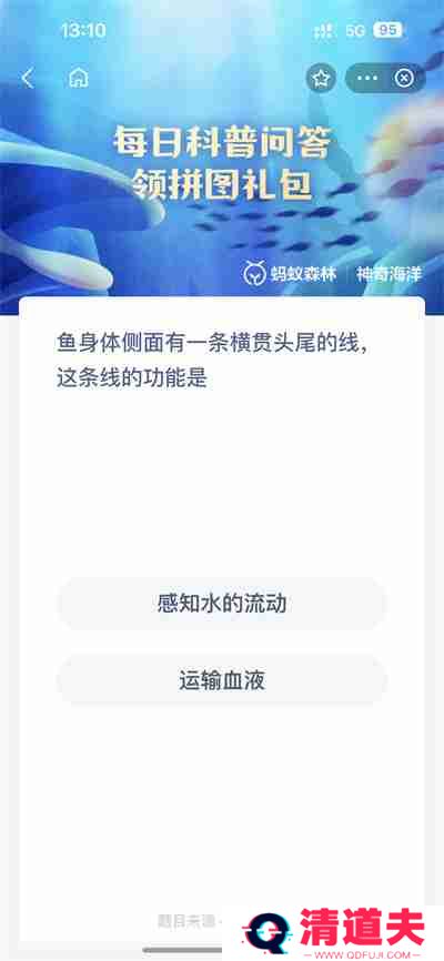 支付宝神奇海洋4.2日答案是什么