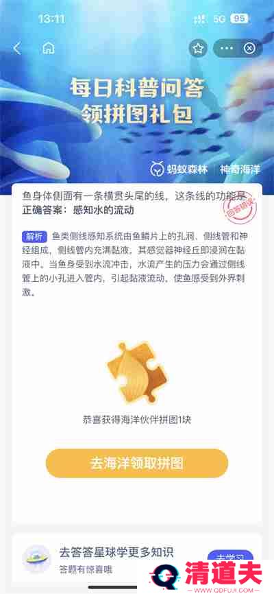 支付宝神奇海洋4.2日答案是什么