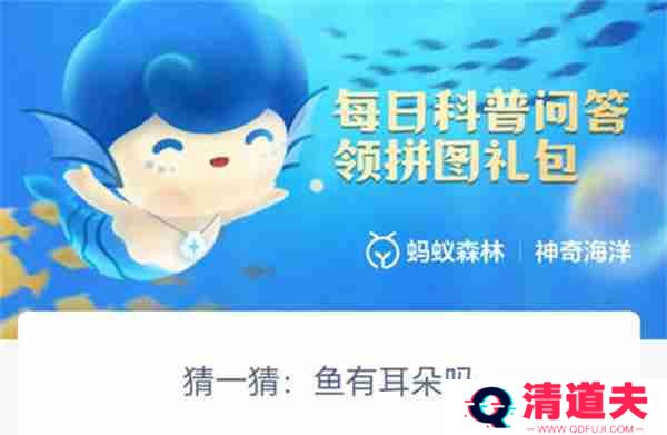 支付宝神奇海洋鱼有耳朵吗
