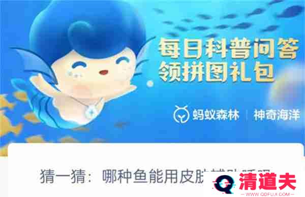 支付宝神奇海洋哪种鱼可以用皮肤辅助呼吸