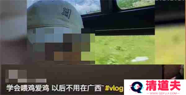 抖音学会喂鸡爱鸡以后不用在广西是什么梗